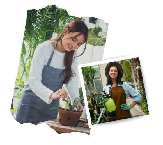 Expert Care For Your Lawn